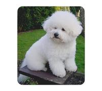 Mice Pad Bichon Frise 0043 Modern Office Mouse Pad Durable Table Mat For Pc Travel Work 10X12In