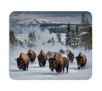 Mice Pad Bison Gaming Mouse Pad for Travel 10x12in