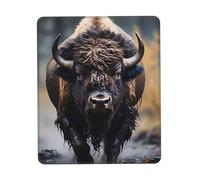 Mice Pad WildBisonTrek Mouse Mat for Computer 10x12in