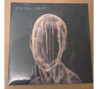 Michał Łapaj - Are You There [VINYL]