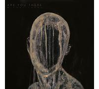 Michał Łapaj - Are You There [VINYL]