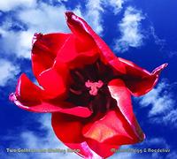 Michael Begg & Hans Joachim Roedelius - Two Gather In The Waiting Room