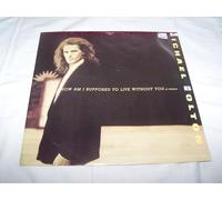 Michael Bolton - How Am I Supposed To Live Without You - Michael Bolton 12"