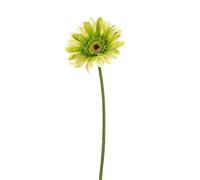 Michael Dark 60cm Artificial Gerbera - Green