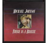 MICHAEL JOHNSON - Young, Fresh N' New [12" VINYL]