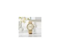 Michael Kors Darci Ladies Watch MK3191 Gold New with Tags