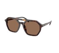 Michael Kors Man Michael Kors MK2251U JACKSON HOLE 300673 Sunglasses Acetate Turtle Brown Pilot Normal