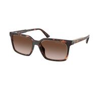Michael Kors Man Michael Kors MK2282U HONOLULU 300613 Sunglasses Injected Turtle Brown Squared Normal Nuanced