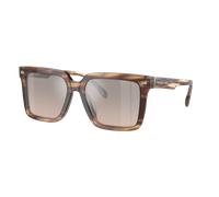 Michael Kors Man Sunglass Abruzzo - Frame color: Brown Horn, Lens color: Brown Black