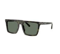 Michael Kors Man Sunglass Edgewater - Frame color: Olive Tortoise, Lens color: Green Solid