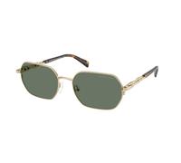 Michael Kors Unisex Sunglass MK1165 Saint Martin - Frame color: Light Gold Shiny, Lens color: Green Solid