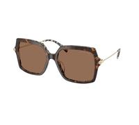 Michael Kors MK2247U QUOGUE 395173 Woman Sunglasses Acetate Turtle Brown Squared Normal