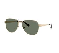 Michael Kors MK1160 BIARRITZ 10143H Woman Sunglasses Metal Gold Green Pilot Normal