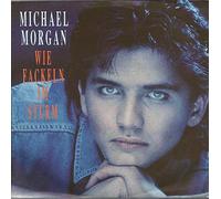 Michael Morgan - Wie Fackeln im Sturm (1990) / Vinyl single [Vinyl-Single 7'']