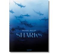 Michael Muller. Sharks