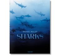 Michael Muller. Sharks