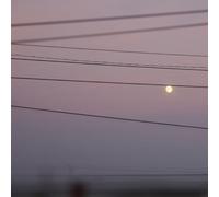 Michael Scott Dawson - Long Slow Distance [VINYL]