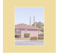 Michael Scott Dawson The Tinnitus Chorus (Vinyl) 12" Album (US IMPORT)