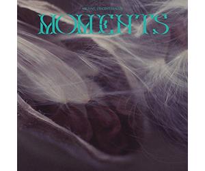 MICHAEL VINCENT WALKER - MOMENTS