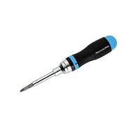 MichaelPro MP002001 Set of 19-in-1 Interchangeable Multi Bit Ratchet Screwdriver Set, All-in-One Multi Screwdriver Comes with a Built-in Handle Storage Perfect for Home and Industrial Usage