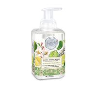 Michel Design Works Rosemary Margarita Foaming Hand Soap - 530ml, 17.8 Fl Oz