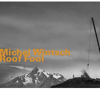 Michel Wintsch - Roof Fool