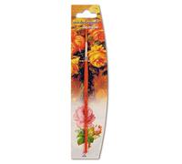 Michelangelo Decorative Round Brush FSC Wood Konex Fiore Size 8, Orange, 1