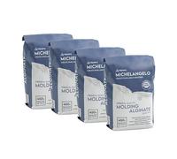 Michelangelo Moulding Alginate Slow Setting. Chromatic Alginate for High Precision Impressions, Suitable for Hands or Body Casts. (4 lb. (Pack of 4))