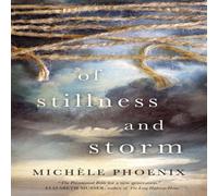 Michele Phoenix The Of Stillness & Storm Paperback Book Michele Phoenix Multicolor