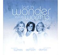 Susan Ashton - Lost in the Wonder: Voices of