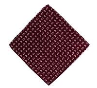 Michelsons of London Small Pine Silk Handkerchief