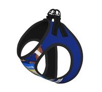 Michigan State Flag Print Adjustable Reflective Harness Leash Set For Cats, Dogs And Small Pets, Soft Breathable Mesh Walking Vest With Escape-Proof Lead