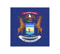 Michigan State Flag Print Building Brick Block Puzzle Square Creative Building Blocks Jigsaw Home Desk Decor