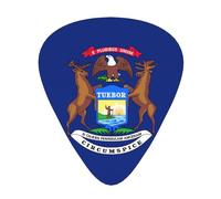 Michigan State Flag print Celluloid Guitar Plectrums for Acoustic Guitar Bass,Guitar Picks with Organizer Box