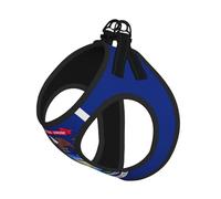 Michigan State Flag Print Step in Dog Harness and Leash Set,Adjustable Reflective Harness for Small Dogs Cats