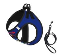 Michigan State Flag Print Step in Dog Harness and Leash Set,Adjustable Reflective Harness for Small Dogs Cats
