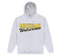 Michigan Wolverines Men's Logo Hoodie in Grey | Size: Medium Michigan Wolverines Grey M