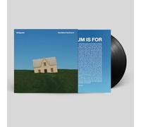 Michigander - Over Before You Know It [VINYL]