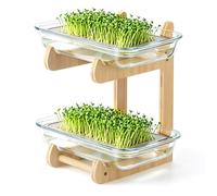 MICHIHOMIE Sprouting Growing Kit With 2 Glass Cress Trays and Bamboo Stand, Microgreens Growing Kit for Cress Seeds, Sprouts and Watercress