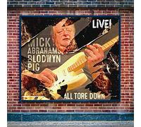 Mick Abrahams Blodwyn Pig - All Tore Down Live