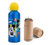 Mickey Characters Aluminium Sports Bottle 530ml - Holiday, Back to School Water Drinking Kids Lunch Children Includes Half Size 12pcs (Mickey)