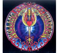 Mickey Hart - rolling thunder LP