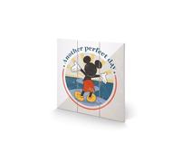 Mickey Mouse Another Perfect Day Plaque