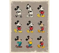 Mickey Mouse Evolution Canvas, Polyester, Multi-Colour, 40 x 50cm