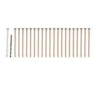 Micpointik Copper Nails for Tree Stump Removal 4 Inch Pure Copper Nails for Killing Roots and Stumps with Drill Insert for Gardening (Pack of 20)