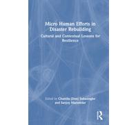 Micro Human Efforts in Disaster Rebuilding : Cultural and Contextual Lessons for Resilience
