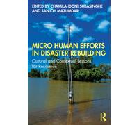 Micro Human Efforts in Disaster Rebuilding : Cultural and Contextual Lessons for Resilience