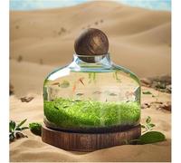 Micro Landscape Fish Tank - Ecological Culture Self-Circulating Plant Tank with Wooden Base - Desktop Ornament for Home Office