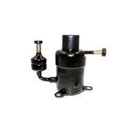 Micro Rotary Refrigeration Compressor R134a Bldc 12V 24V 48v For Mini Fridge(FSQX019Z12)