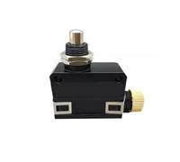 Micro switch SL1-A, SL1-B, SL1-D, SL1- H, SL1-E, SL1-P(SL1- H)